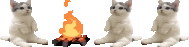 Cats sitting around a campfire